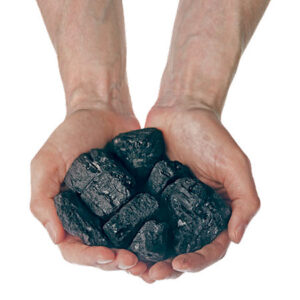 Blaschak Bagged Nut Coal